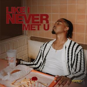 Like I Never Met U (feat. Torrey) [Losis Remix]