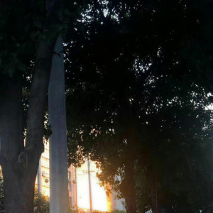 来一杯冰美式_0 - 你要的全拿走