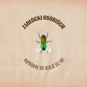 Naprawdę nie dzieje się nic a nic