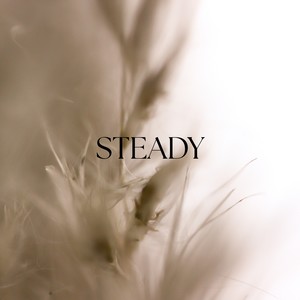 Steady