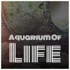 Aquarium Of Life