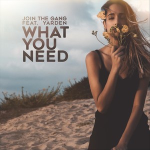 What You Need (feat. Yarden)