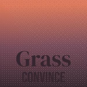 Grass Convince