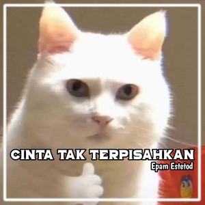 Cinta Tak Terpisahkan