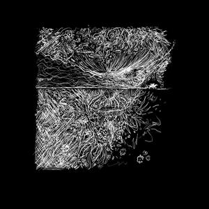 ça le sport (Explicit)