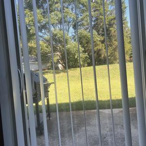 The Bird$ (Explicit)