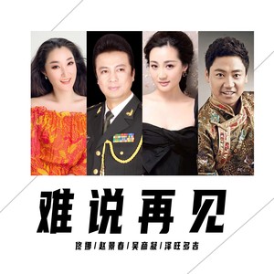 难说再见 - 佟娜、赵景春、吴彦凝、泽旺多吉封面