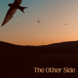 The Other Side