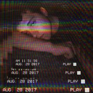 Amici Ver. 2 (Explicit)