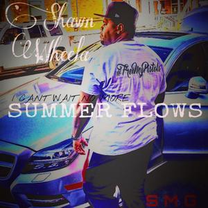 Summer Flows (Explicit)