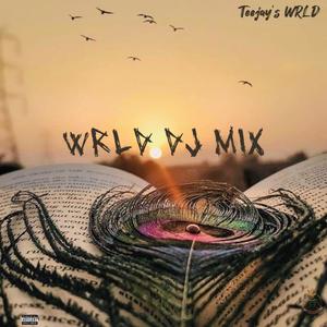 WRLD DJ MIX (Explicit)