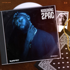 Ndogbong 2Pac (Saturation 4|Explicit)