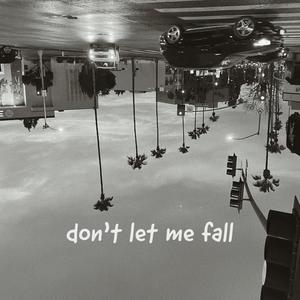 don't let me fall(feat. yaeow)