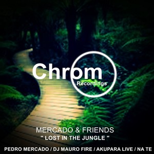 Mercado & Friends: Lost in the Jungle