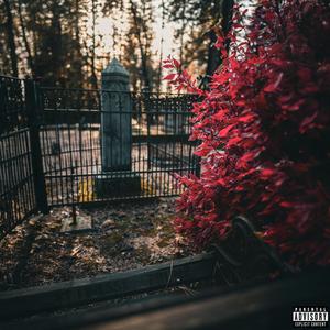 Lost in the Wind (Explicit)