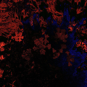 scene tagliate (Explicit)