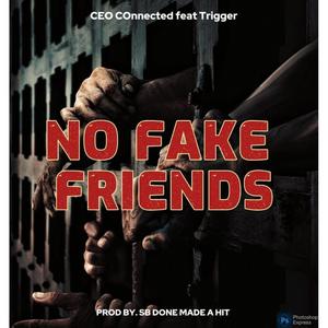 No Fake Friends (feat. Trigger & SB Done Made A Hit) [Explicit]