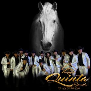 El Corrido Del Conejo