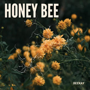 Honey Bee