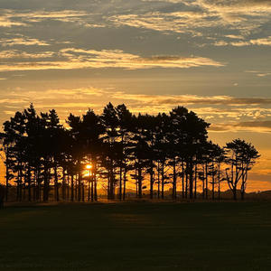 Sky so Lovely (Explicit)