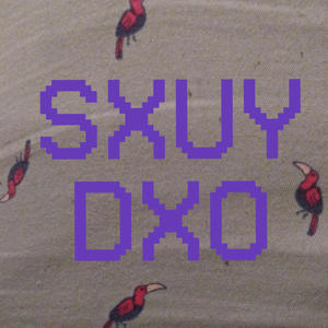 SXUYDXO: Unfinished Demos, Phone Recordings (Explicit)