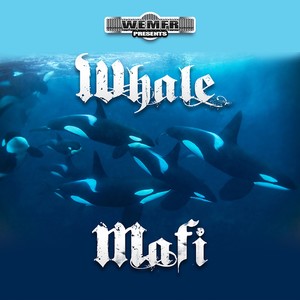 Whale Mafi (Explicit)