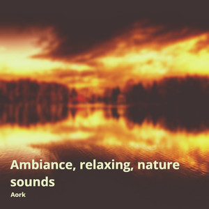 Meditation, Nature Sound (Birds Version)