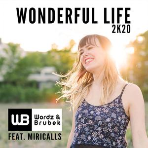 Wonderful Life 2K20 (feat. Miricalls) (Domero Remix)