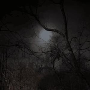 restoftime (Explicit)