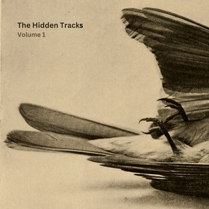 The Hidden Tracks, Vol. 1