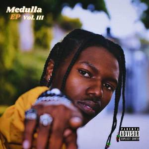 Medulla (Vol.3) [Explicit]