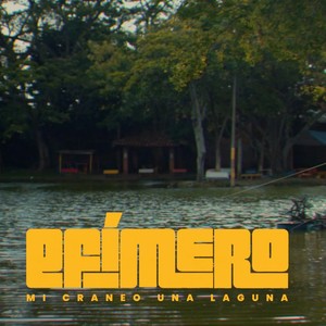 MI CRANEO UNA LAGUNA