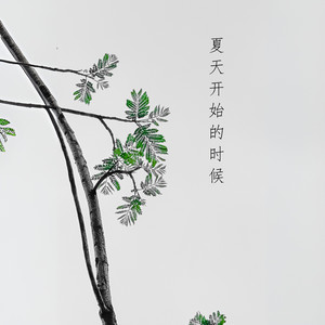 夏天开始的时候