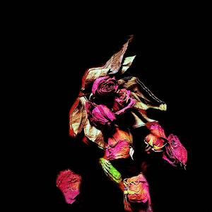 MOSKITO SICK (Explicit)