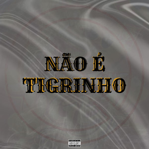 Não É Tigrinho (Explicit)