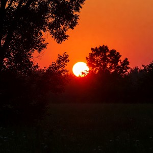 feels real, must be a dream