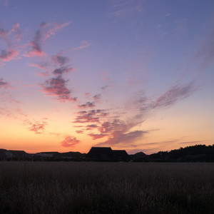 Sommersonnenwendenvibe