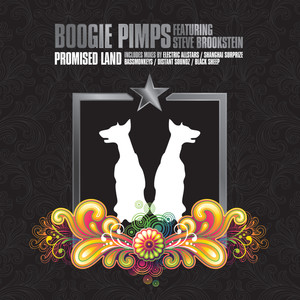 Promised Land (Distant Soundz Remix)