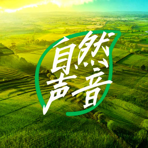 夏日夜晚 突如其来的雷暴雨