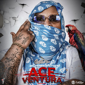 Ace Ventura (Main|Explicit)