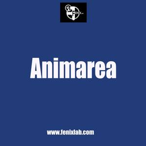 Animarea (studio version)