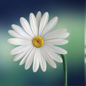 Lal Sari Poriya Konna Rokto Alta Paye 2