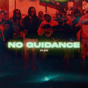 No Guidance (Explicit)