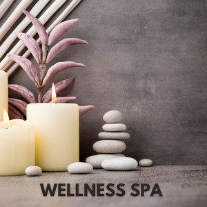 Wellness Spa