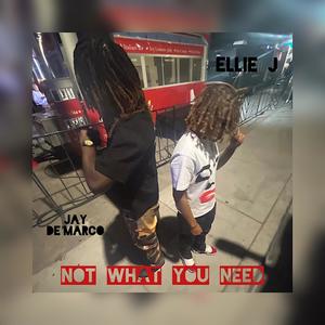Not What You Need (feat. Ellie J) [Explicit]