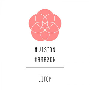 Vision-Amazon