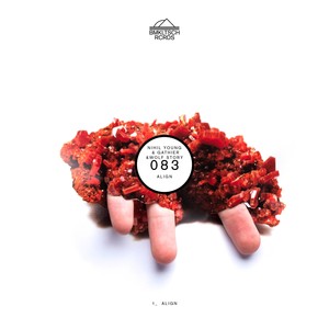 Align (Extended Version)