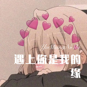 遇上 你是我的缘 (Remix)