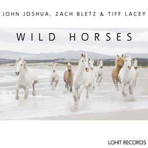 Wild Horses