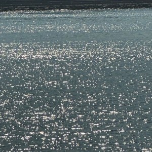 shine (feat. cyprus)